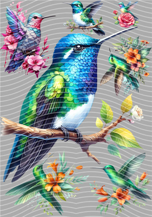 A5 Notebook Wraps-A 2011